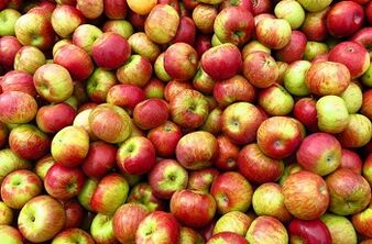 Apple Diät fir Gewiichtsverloscht